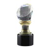 Crystal Glass Trophy in Wooden Box