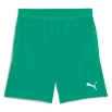 teamCUP Shorts - Image 7