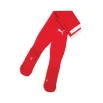 teamFINAL26 Socks